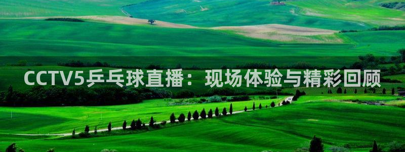 360体育直播在线看：CCTV5乒乓球直播：现场体验与精彩回顾