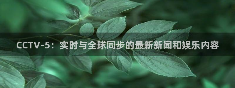 足球直播360高清直播178：CCTV-5：实时与全球同步的最新新闻和娱乐内容