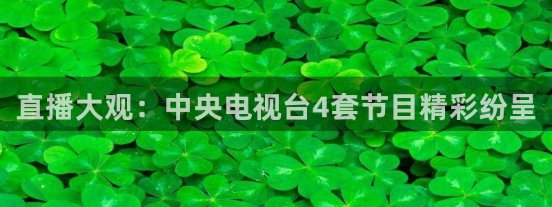 足球直播吧360直播雨燕直播：直播大观：中央电视台4套节目精彩纷呈